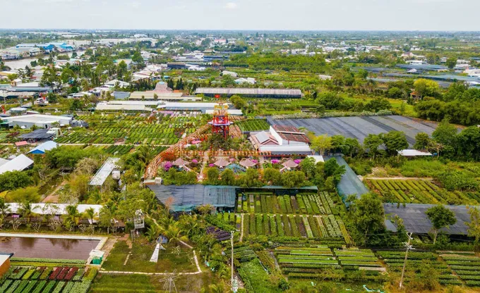 Làng hoa Sa Đéc có khoảng 13 doanh nghiệp hoạt động trong lĩnh vực hoa, kiểng và 17 hợp tác xã, hội quán, tổ hợp tác hoa, kiểng z5849286281126_9e2efa8d2037d437be76a337455ce023.jpg