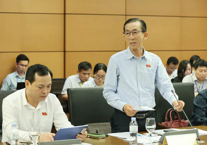 ĐB Trần Hoàng Ngân.jpg