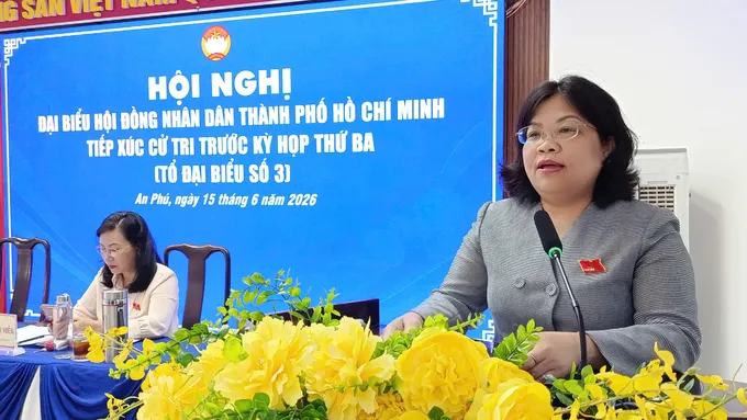 Bà Nguyễn Trường Nhật Phượng phát biểu tại hội nghị