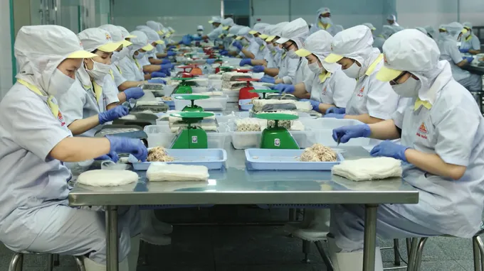 Chế biến thực phẩm tại Công ty cổ phần Việt Nam Kỹ nghệ súc sản (TPHCM)