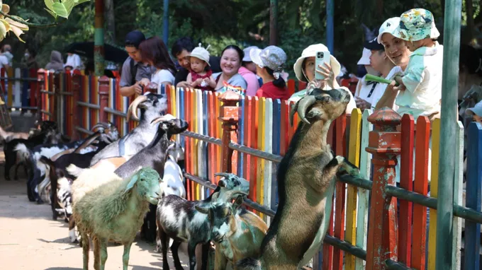 https://image.sggp.org.vn/w680/Uploaded/2026/vowkjqvp/2026_05_01/a1e-9328-1966.jpg.webp