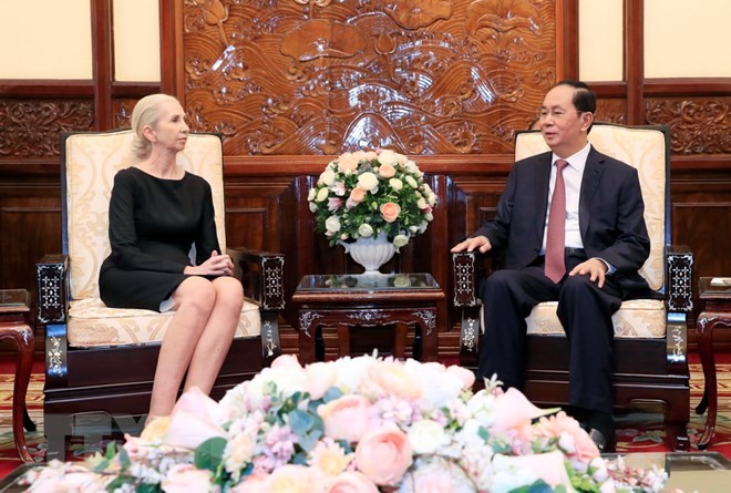 國家主席陳大光（右）接見挪威王國駐越南大使埃里克森。（圖源：顏創）