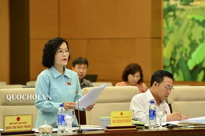 《公共行政法》草案草擬委員會主任陳氏國慶在會議上發言。（圖源：Quochoi.vn）