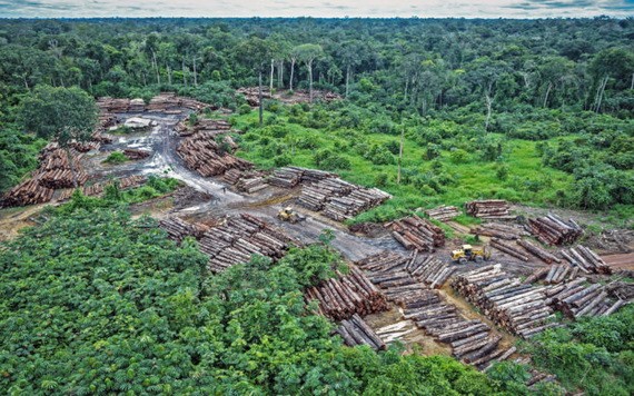 氣候科學研究論文指出，森林砍伐和區域氣候變化可能威脅到亞馬遜雨林大氣中碳的緩衝潛力。（圖源：互聯網）