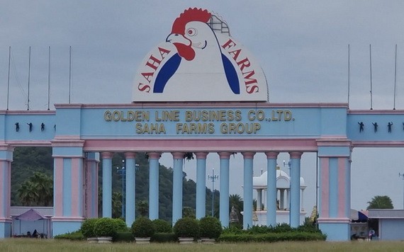 泰國北部碧差汶府一家雞肉加工廠超過3000名工人的新冠病毒檢測呈陽性。（圖源：互聯網）