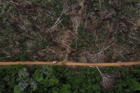 當地時間2021年9月4日，巴西亞馬遜州，亞馬孫雨林遭砍伐。（圖源：路透社）