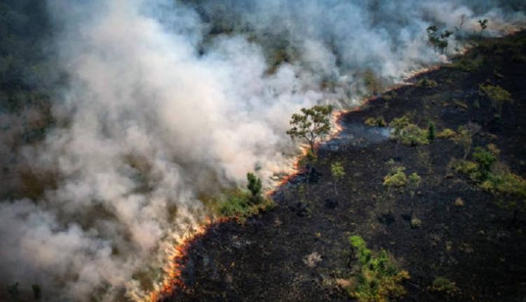 亞馬遜雨林 8月火災創 12 年紀錄