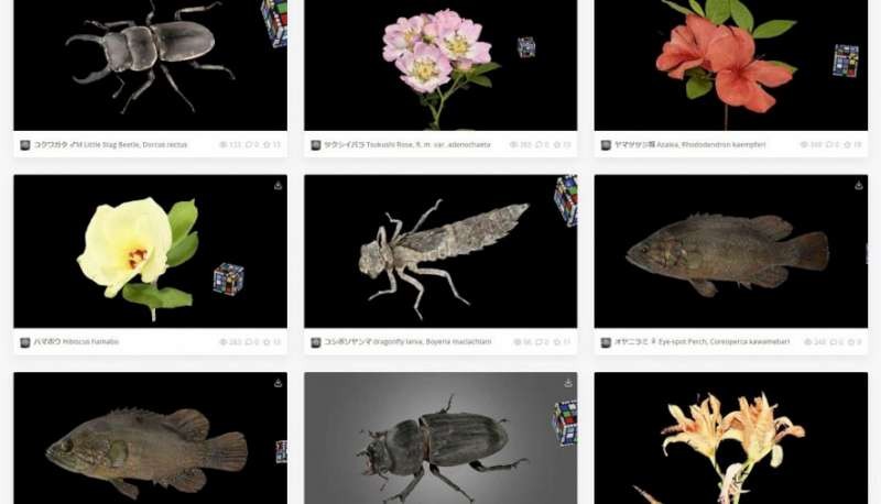 日公開千種3D數字生物標本