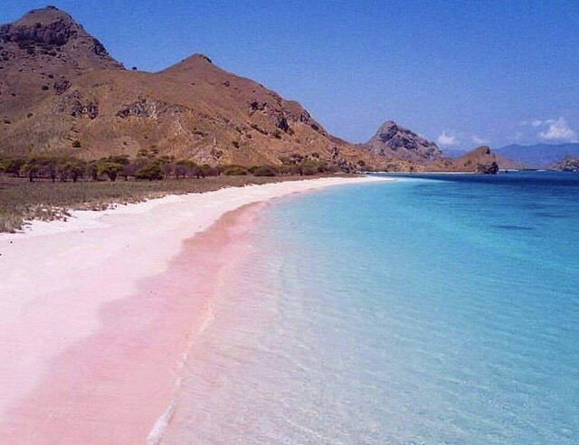 夢幻粉紅沙灘。
