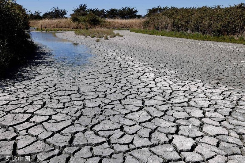 今年8月法國努瓦穆蒂埃島當地河床乾涸裂開。