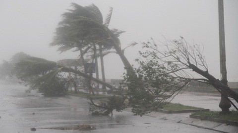 出現颱風與熱帶旋風危機增一倍