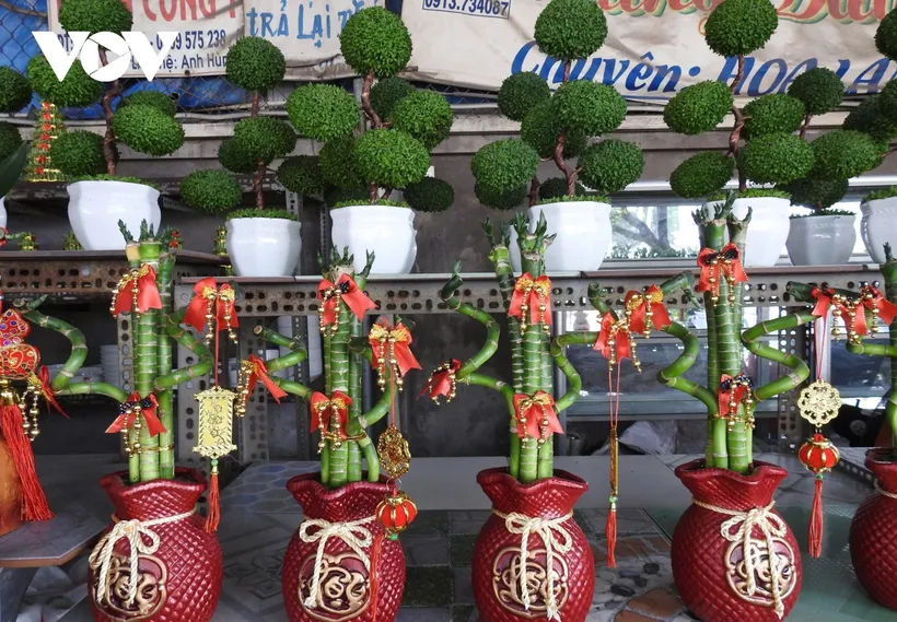 Cây cảnh năm nay đa dạng, bắt mắt với giá bán tương đối ổn định. Cây cảnh năm nay đa dạng, bắt mắt với giá bán tương đối ổn định.