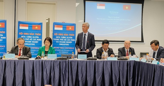 HCMC considered as attractive destination for Singaporean investors ảnh 2