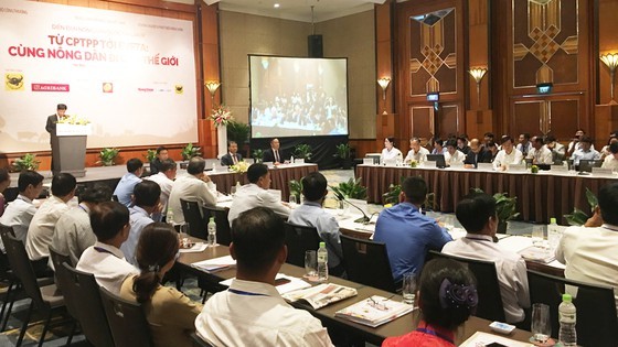 Vietnam faces advantages, challenges from new-generation FTAs ảnh 1