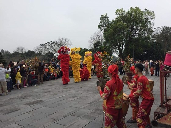 Hue Imperial Relic Sites offer free tickets during first three days of Tet ảnh 1
