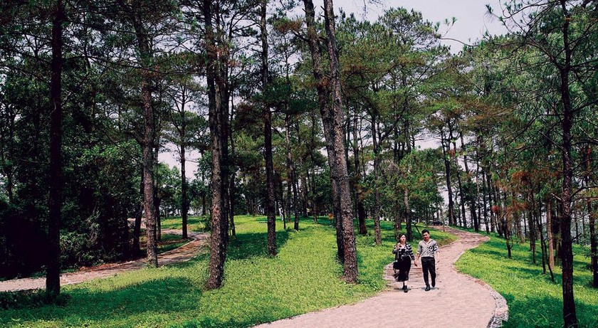 Diện mạo mới đảo ngọc Tuần Châu ảnh 3