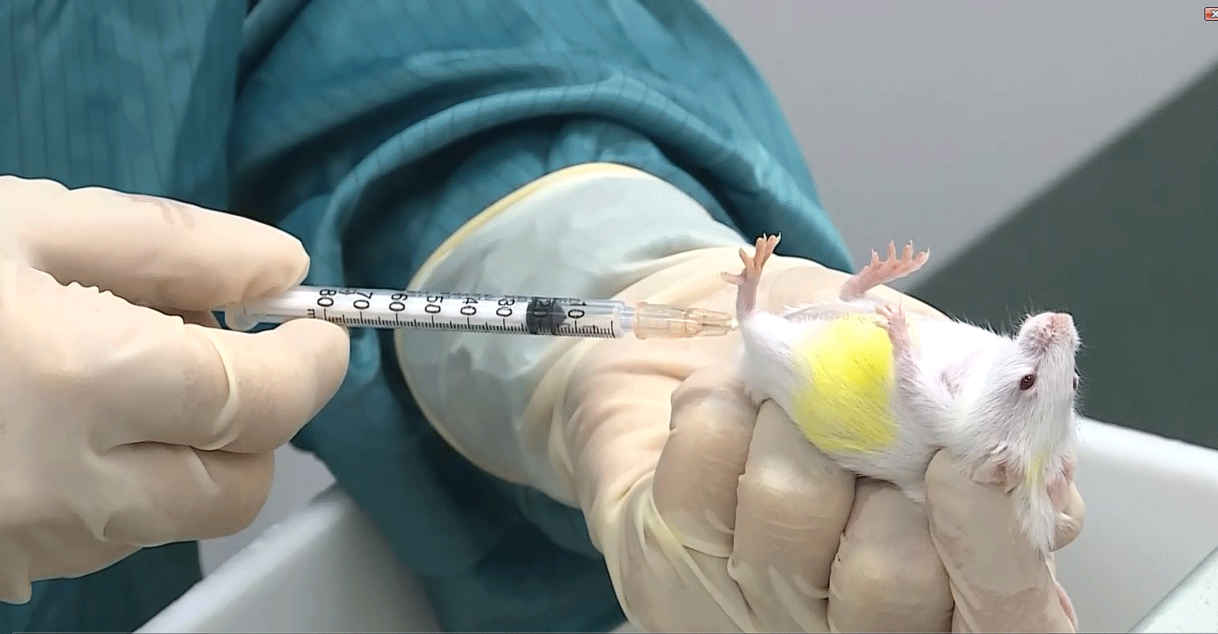 Vietnamese scientists join in race to develop vaccine for SARS-CoV-2 ảnh 1