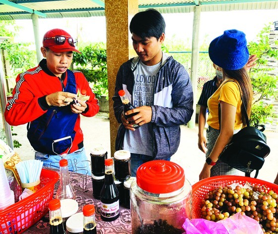 Two siblings start business by growing grape in Mekong Delta ảnh 3