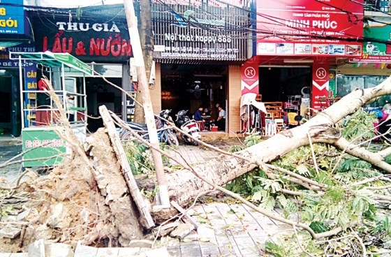 North- central region overcoming consequences after typhoon Talas ảnh 1