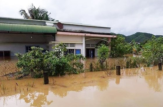 Tropical depression triggers uninterrupted downpours and floods ảnh 1