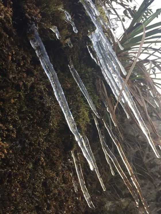Temperature in Hanoi expected to drop to 7-8 degrees Celsius ảnh 1