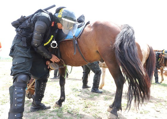 Horse-training day of Cavalry soldiers at Ba Van horse farm ảnh 3
