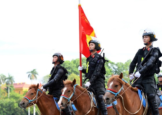 Horse-training day of Cavalry soldiers at Ba Van horse farm ảnh 1