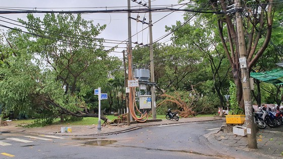 Downpour, storm-force wind rush down Central provinces ảnh 8