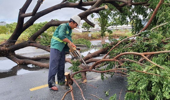 Downpour, storm-force wind rush down Central provinces ảnh 1