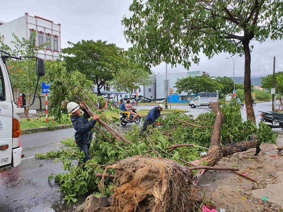 Downpour, storm-force wind rush down Central provinces ảnh 2