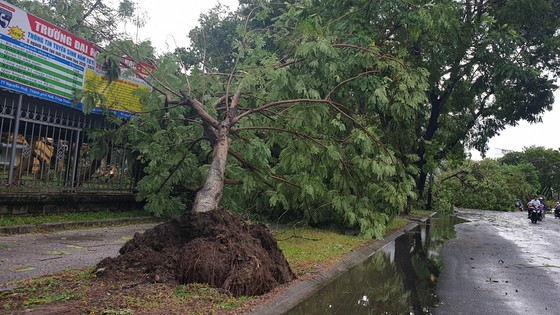 Downpour, storm-force wind rush down Central provinces ảnh 3
