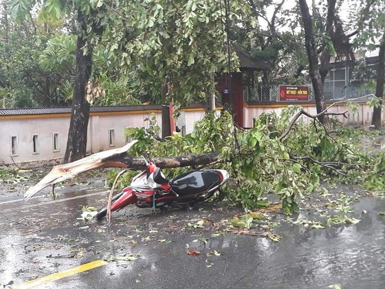 Downpour, storm-force wind rush down Central provinces ảnh 5