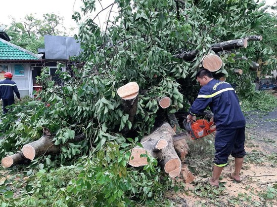 Downpour, storm-force wind rush down Central provinces ảnh 6
