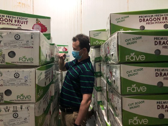 Vietnam ready to resume fresh fruit export to US market ảnh 1
