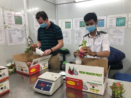 Vietnam ready to resume fresh fruit export to US market ảnh 2