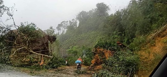 Central region proactively copes with double floods ảnh 1