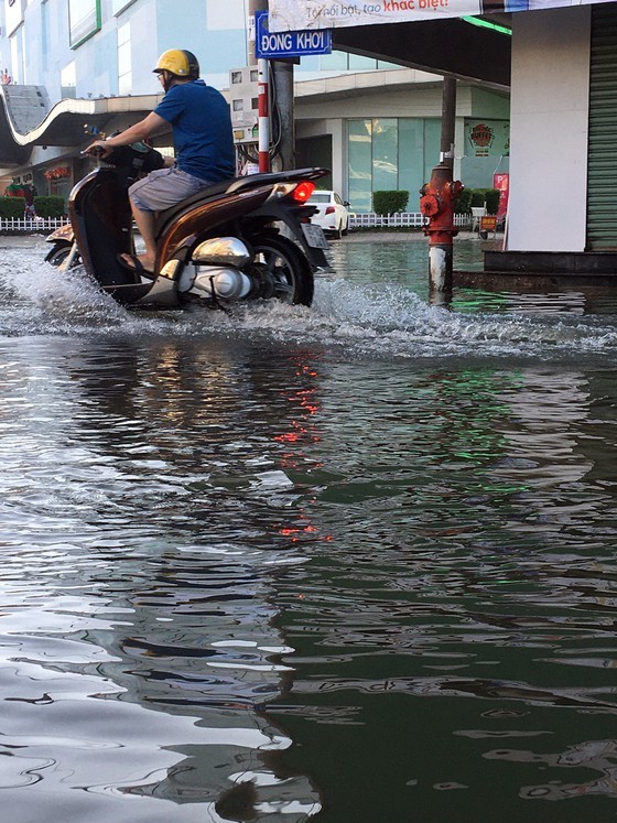 Can Tho city looks like river due to high tide ảnh 1