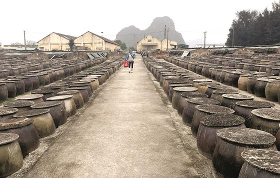 Trade villages with century history of fish sauce production ảnh 2