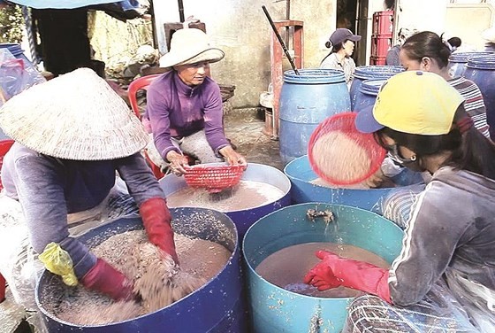Trade villages with century history of fish sauce production ảnh 4