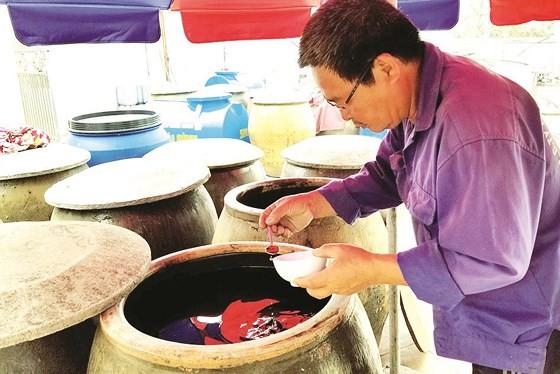 Trade villages with century history of fish sauce production ảnh 6