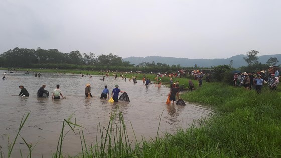 Thousands of people attend fishing festival in Ha Tinh province ảnh 11