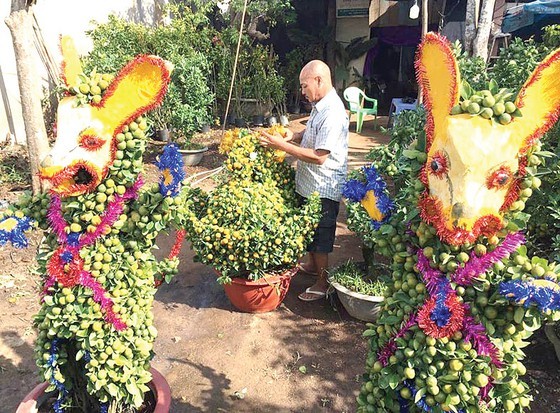 Flower growing areas enter Tet season ảnh 3