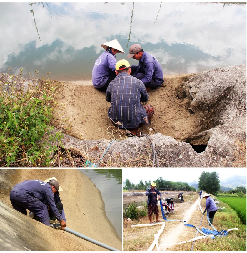 Farmers struggle with drought, water shortage in Central region ảnh 12