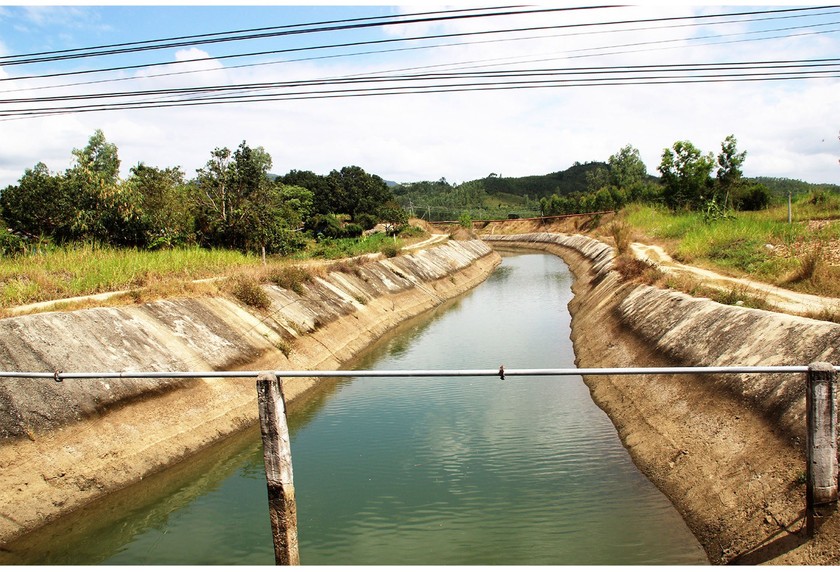 Farmers struggle with drought, water shortage in Central region ảnh 13