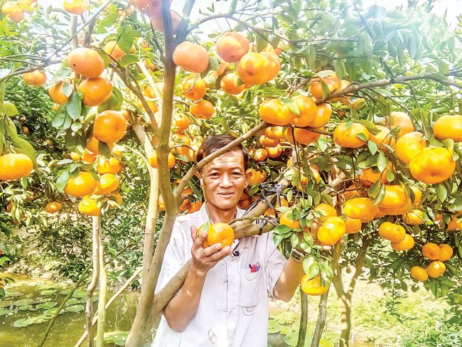 Nông nghiệp thích ứng 4.0 ảnh 1