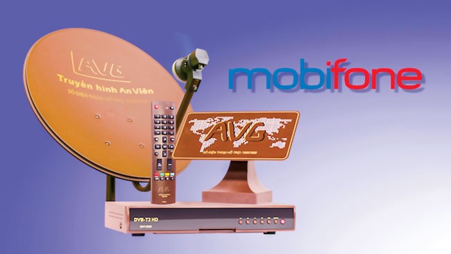 Sự biện minh chậm trễ cổ phần hóa ảnh 1