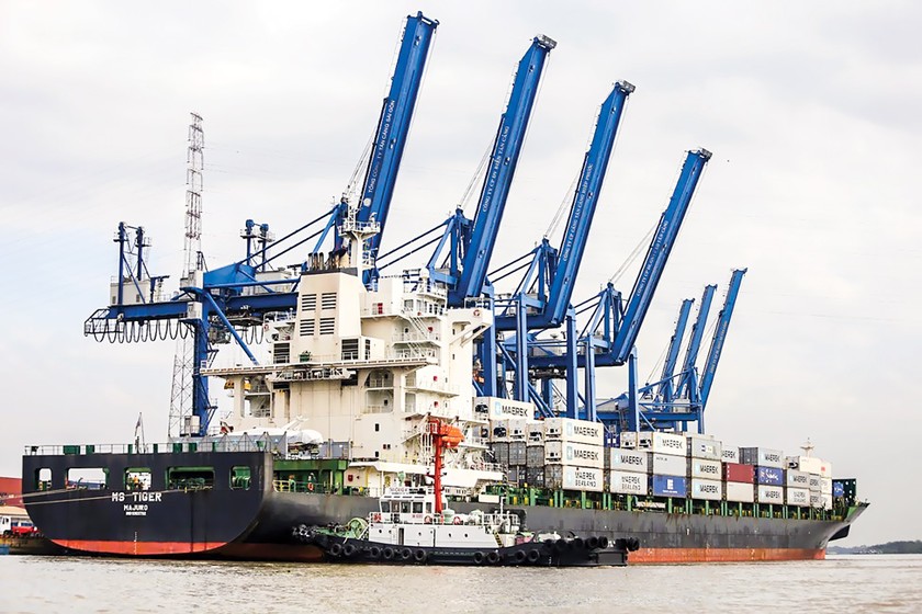 Logistics Việt đón cơ hội EVFTA ảnh 1