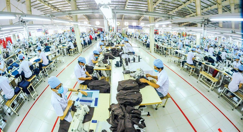Hiệp định Thương mại tự do EVFTA: Mừng và lo ảnh 1