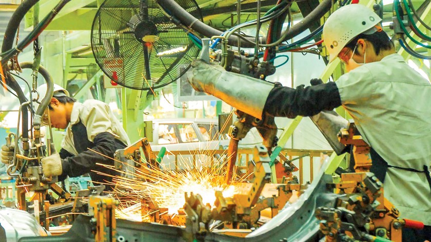 Ngành giấy phát triển bền vững từ 3 trụ cột ảnh 4