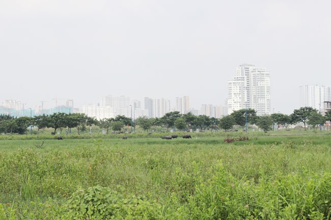 Tạo dựng quỹ đất, chuyển nhượng dự án: Cuộc đua những ông lớn ảnh 2